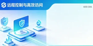Radmin Server和Radmin Viewer的产品介绍,两个软件的区别